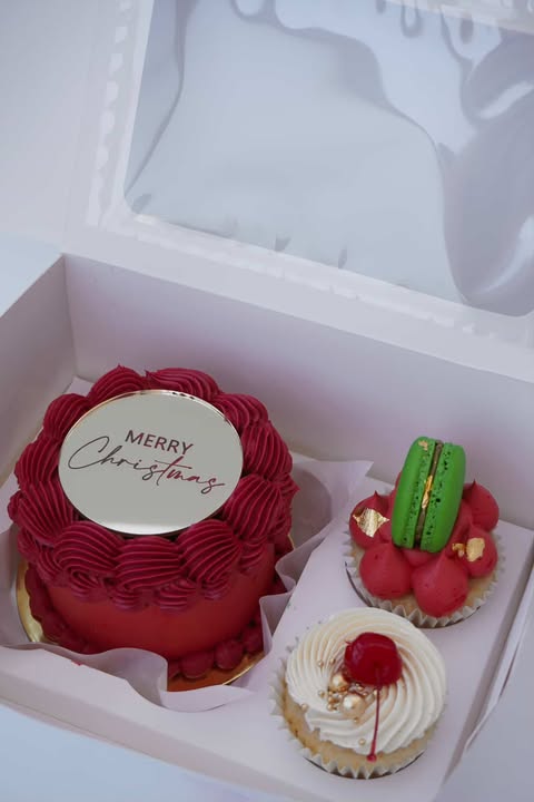 Mini cake + cupcakes