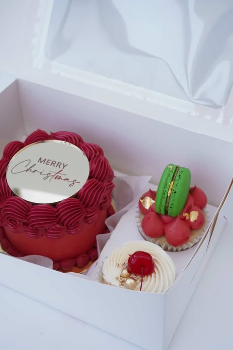 Mini cake + cupcakes